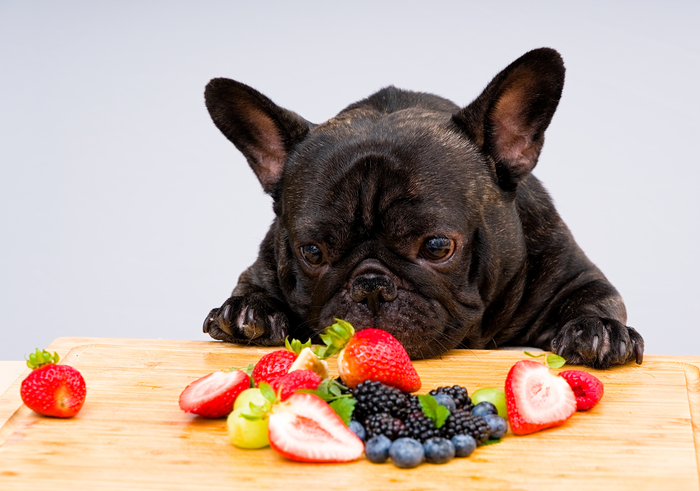 Frutta ai cani